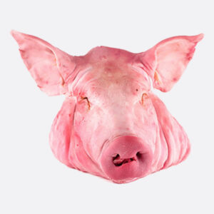 Cabeza De Cerdo 1U.